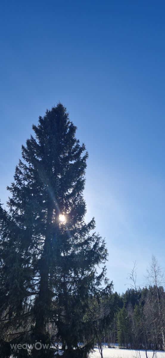 Hình ảnh Thời tiết ở North Ostrobothnia. Dự báo thời tiết với những bức ảnh đẹp của MasterJ