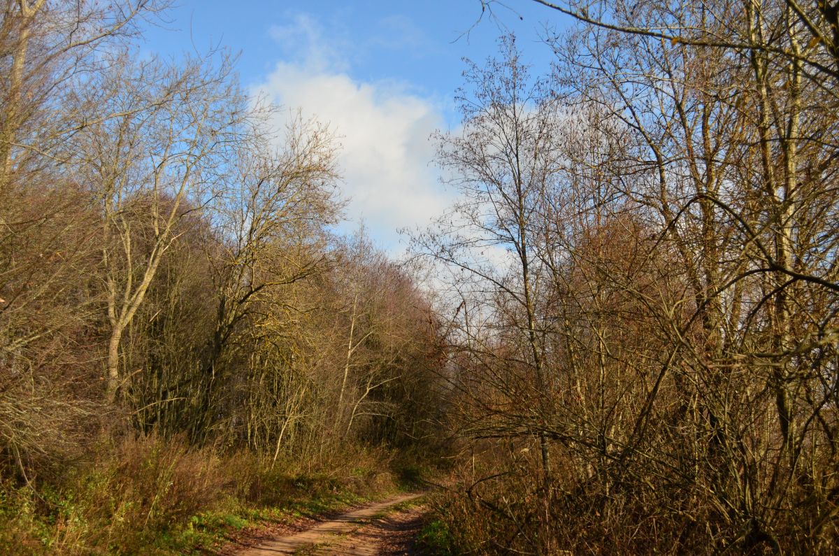 Wetter Photos Welikije Luki. Wettervorhersagen mit schönen Fotos von Krumas