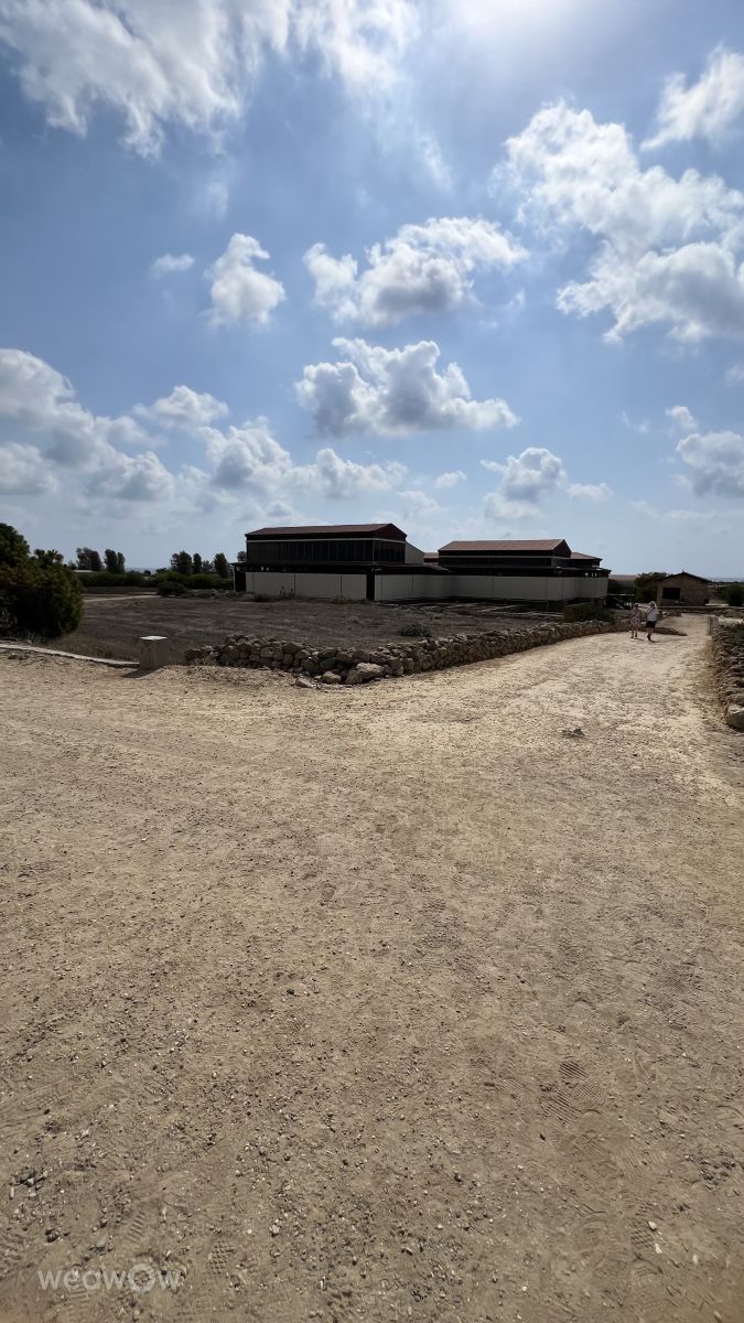 Прогнозы погоды с чудесными фотографиями, сделанными Dorottya Jez