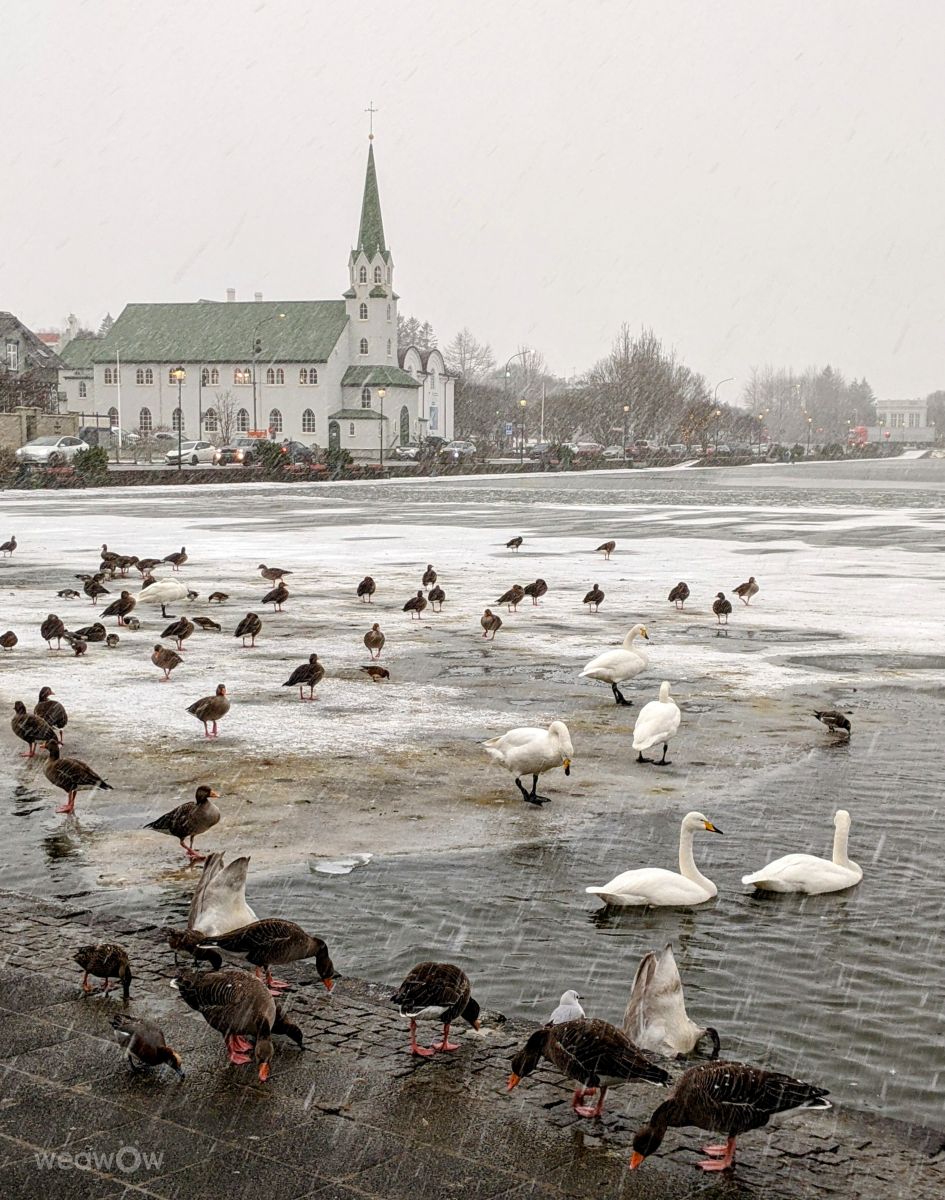 Photos météo à Région de la capitale. Prévisions météo avec de superbes photos de rgo