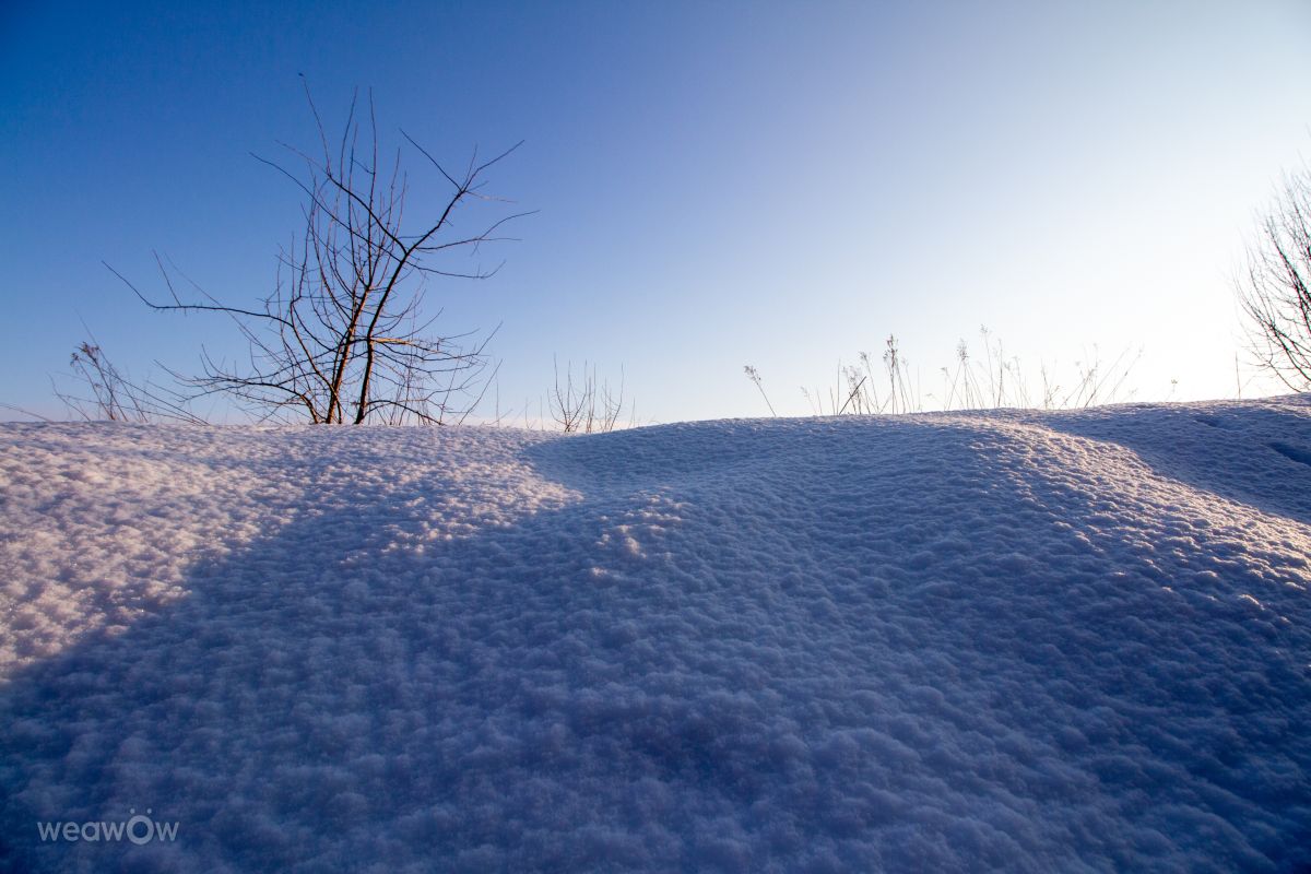Fotos sobre el clima en Kaliningrado. Pronósticos del tiempo con hermosas fotos de vintilator