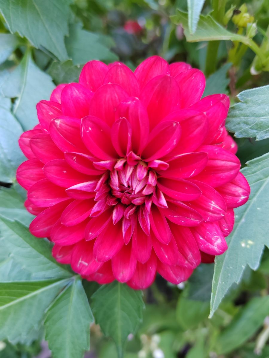 Photos météo à Roza Khutor. Prévisions météo avec de superbes photos de Albert_Smelovtsev