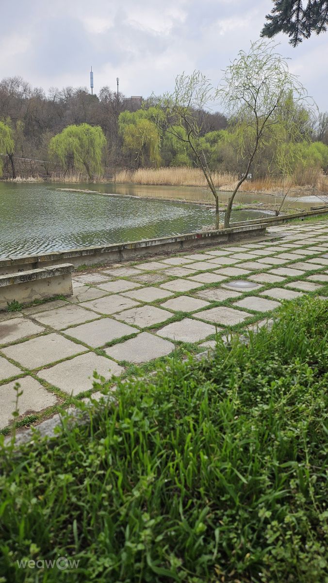 Weather Photos in Chișinău Municipality. Weather forecasts with beautiful photos by Tatiana Cotorobai