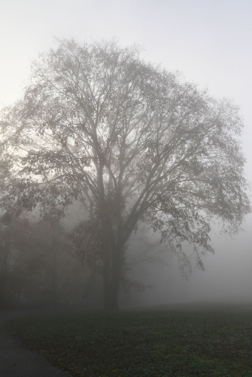 天气预报，带krantzjh精美的照片