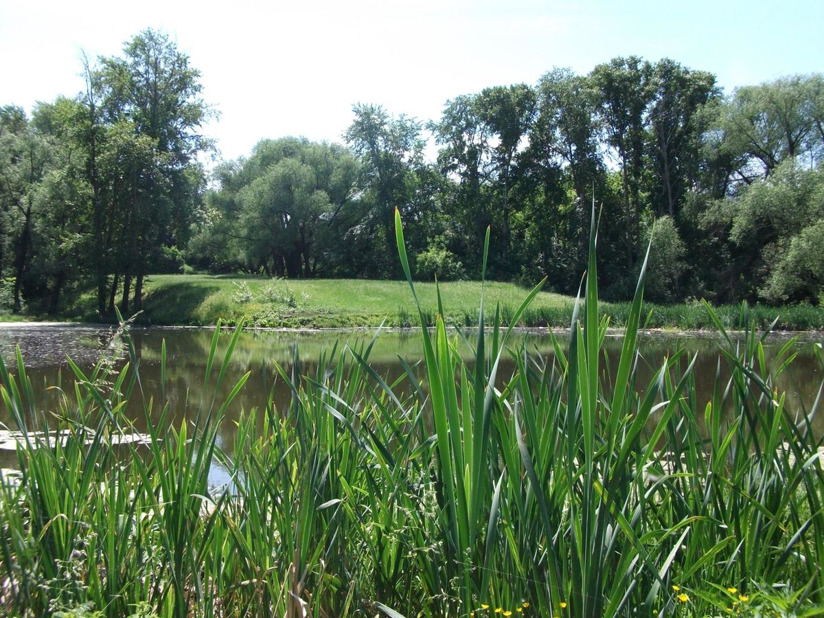 Weather Photos in Alatyr. Weather forecasts with beautiful photos by Иван79