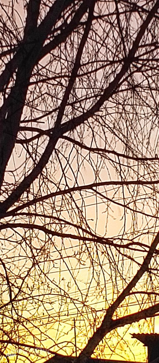 Uyarの天気写真. Asiuroの美しい写真による天気予報