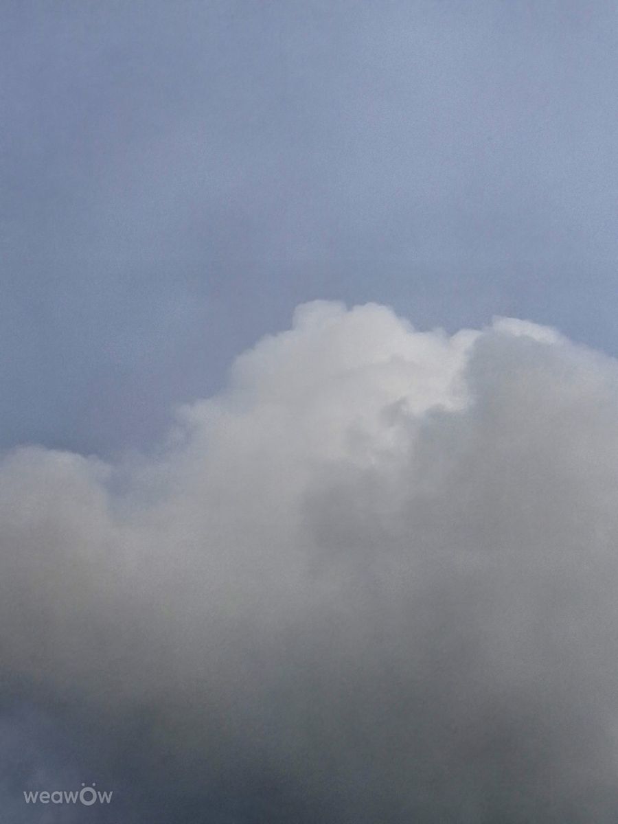 Photographer Wen-ya Huang, Weather Photos in Kaohsiung City - Weawow