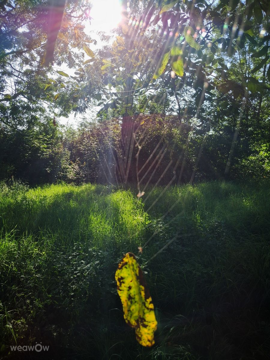 Fotos do tempo em Khmelnytskyi. Previsões do tempo com lindas fotos de urashm