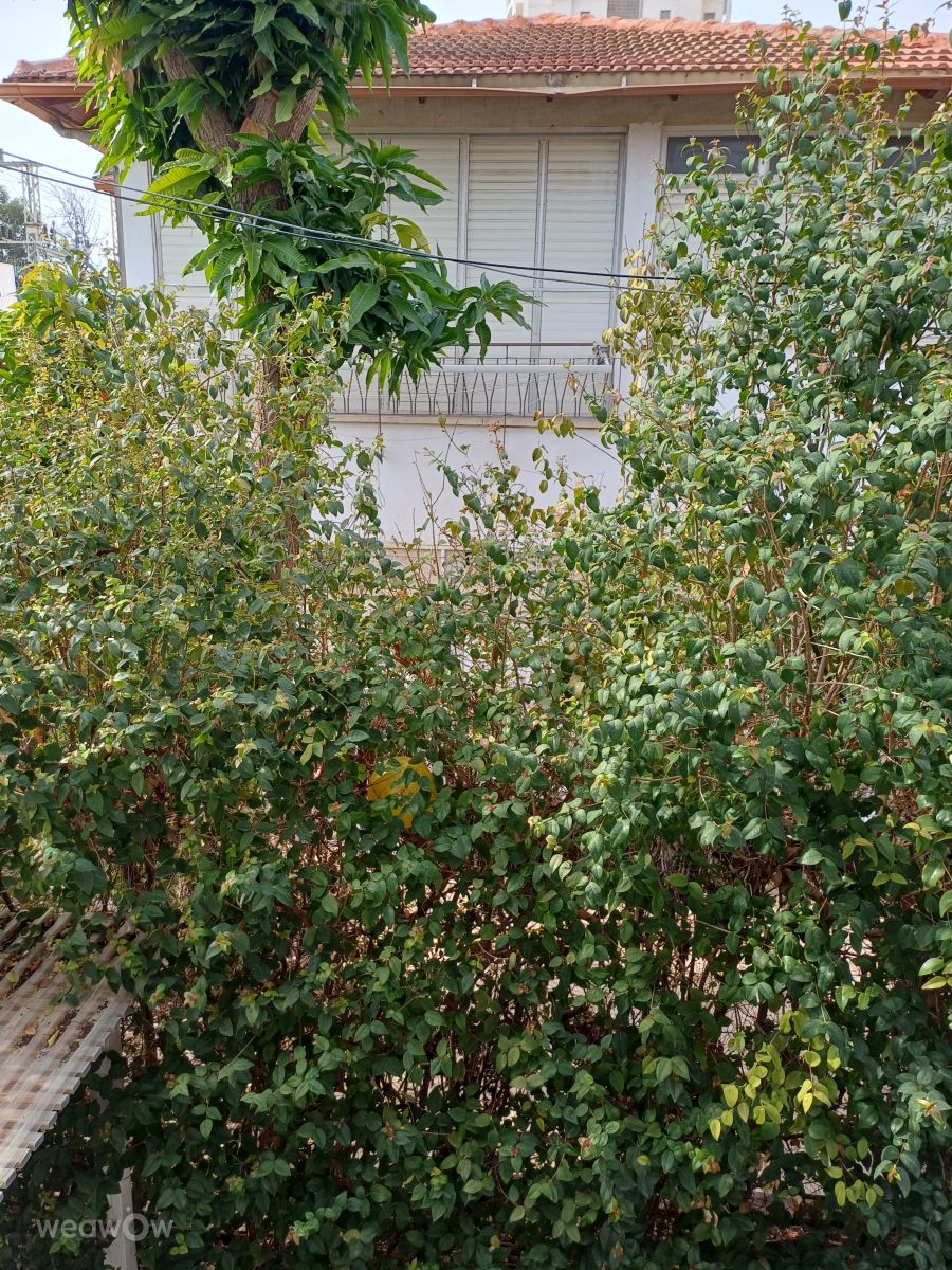 Photos météo à Holon. Prévisions météo avec de superbes photos de Zaza