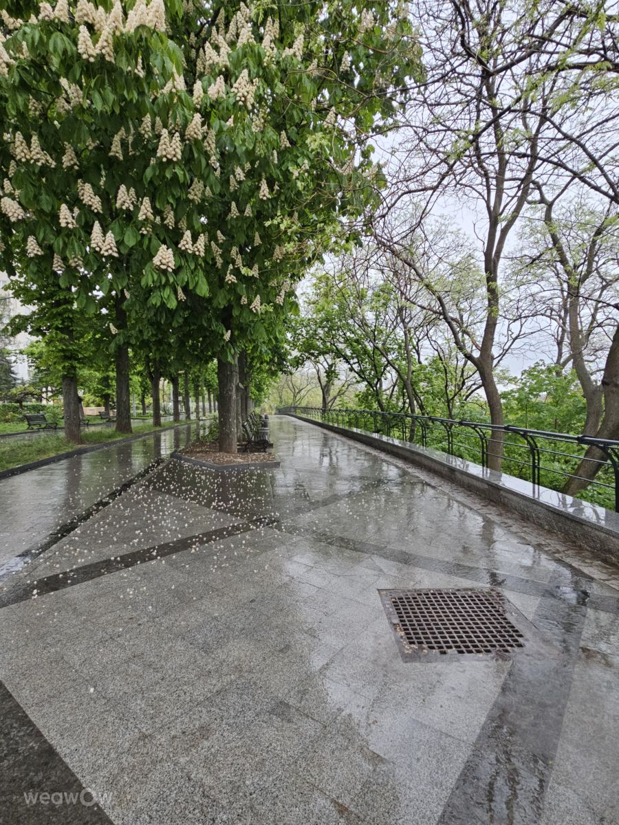 Weather Photos in Odesa. Weather forecasts with beautiful photos by DLys