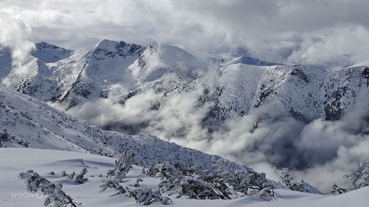 Previsões do tempo com lindas fotos de Rosiii