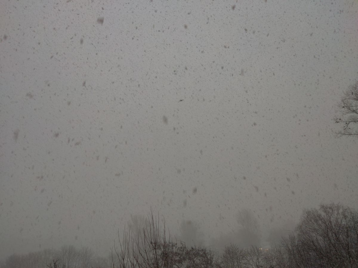 Фотографии Погоды в Киев. Прогнозы погоды с чудесными фотографиями, сделанными Ivanapps