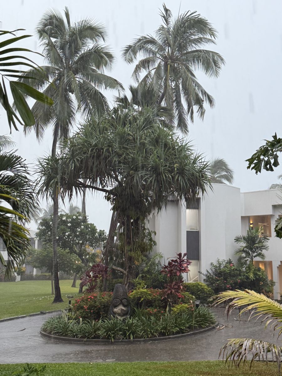 Weather Photos in Fiji. Weather forecasts with beautiful photos by Mimic