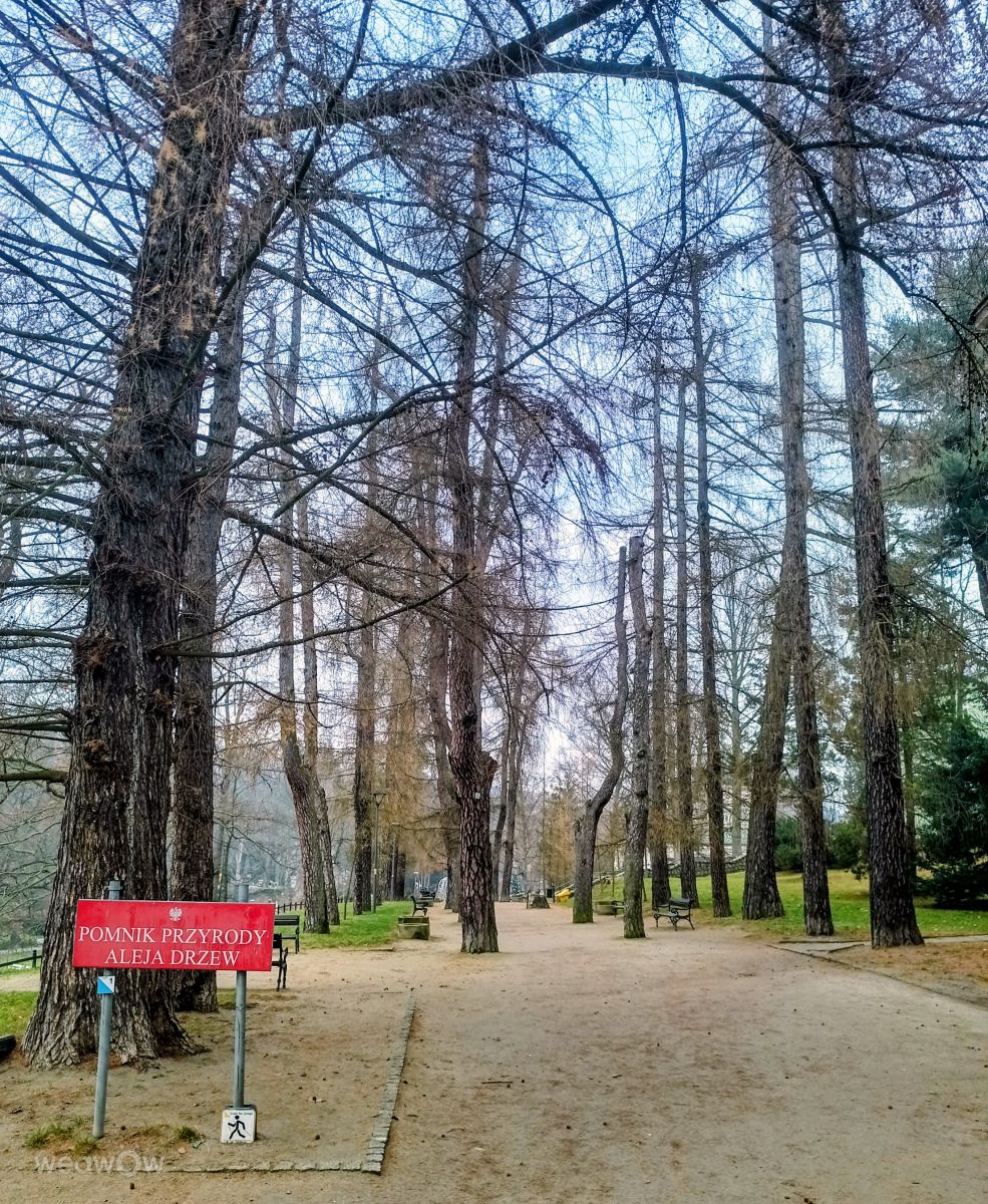 Wetter Photos Ladek Zdroj. Wettervorhersagen mit schönen Fotos von Kripo