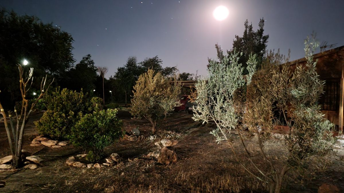 Photographer deliagt, Weather Photos in Manzanares - Weawow