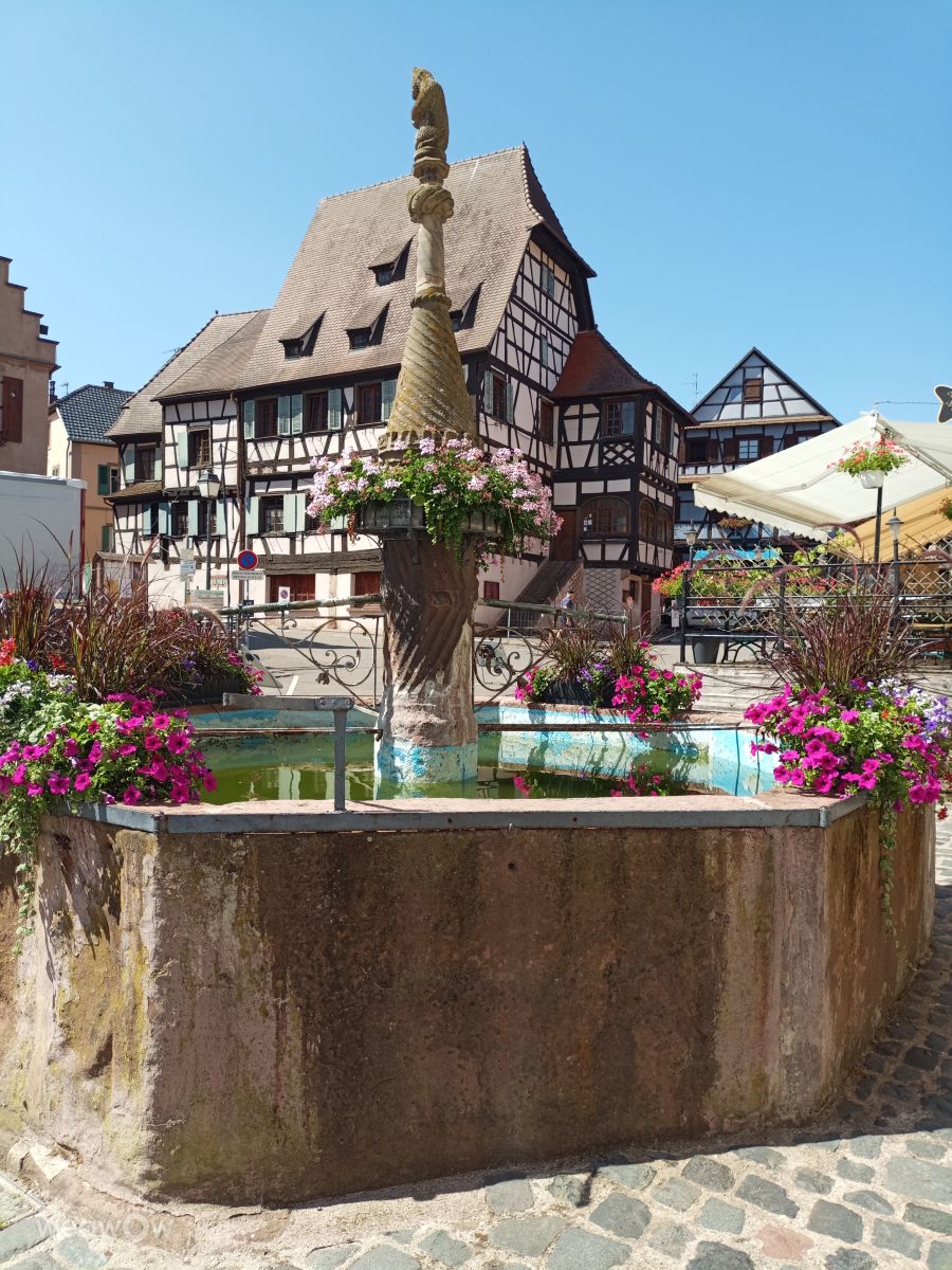 Photographer Airene, Weather Photos in Dambach la Ville - Weawow