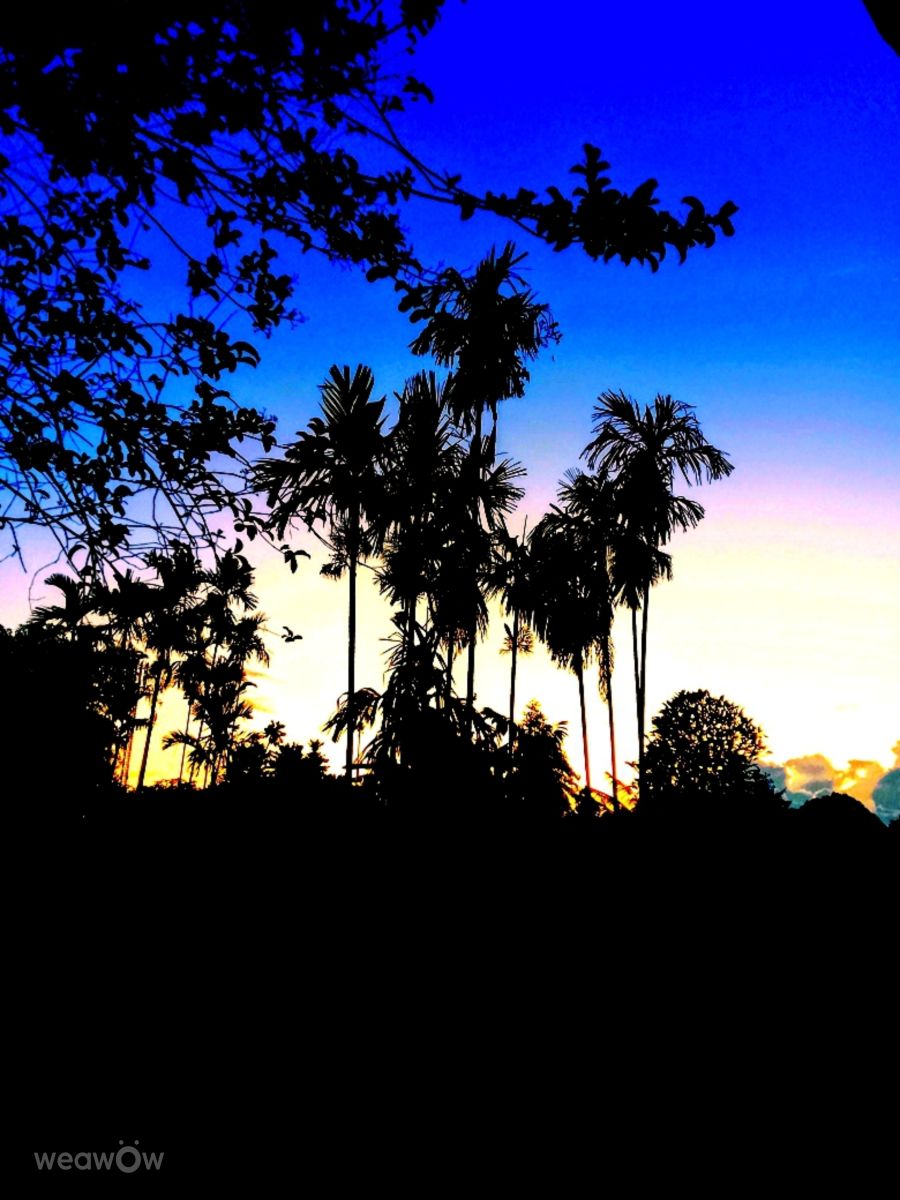 Weather Photos in Papua New Guinea. Weather forecasts with beautiful photos by MITCHDII1111_