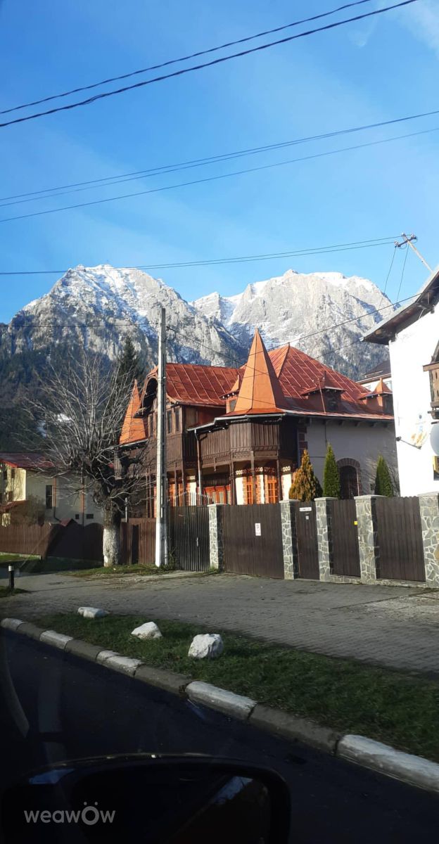 Photographe Florabresler, Photos météo à Burnești - Weawow