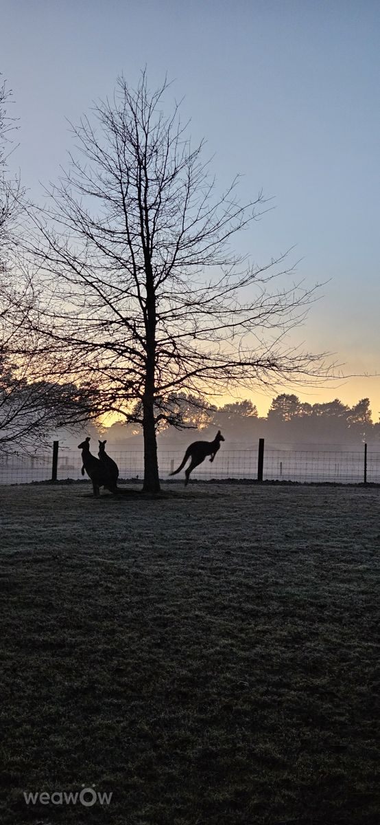 Fotografos Perthro, Fotos do tempo em Macedon Ranges Shire - Weawow