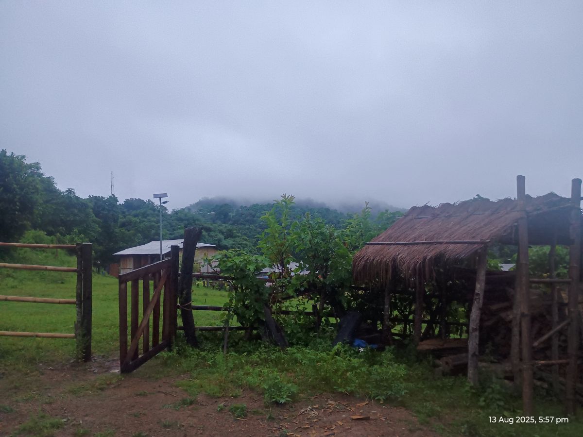 Weather Photos in Assam. Weather forecasts with beautiful photos by Lamkam
