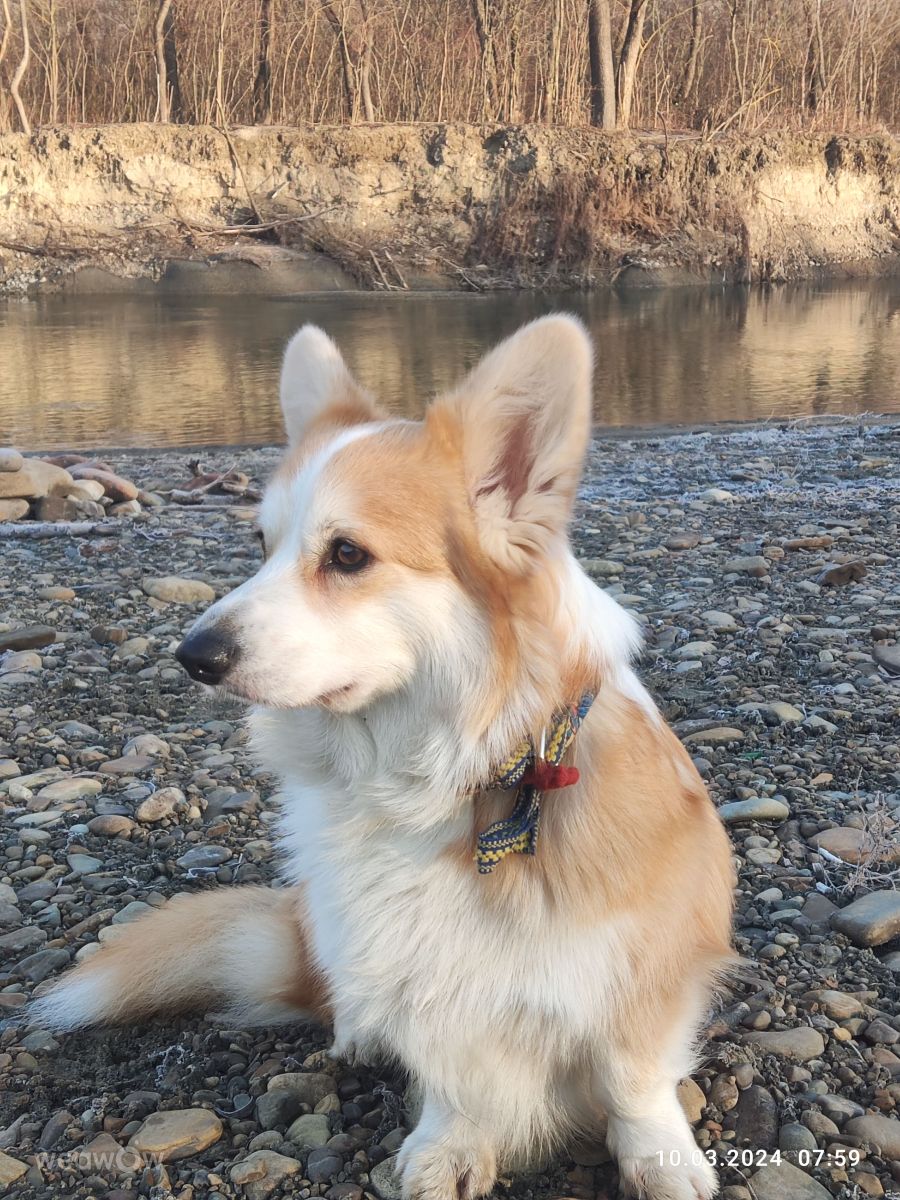 Фотографии Погоды в Ивано-Франковск. Прогнозы погоды с чудесными фотографиями, сделанными sergeymelik