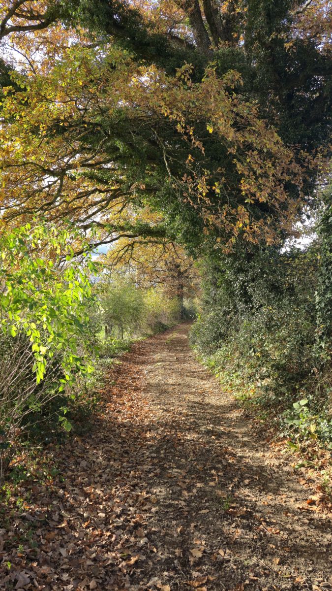 Photos météo à Auvergne-Rhône-Alpes. Prévisions météo avec de superbes photos de LuisCM