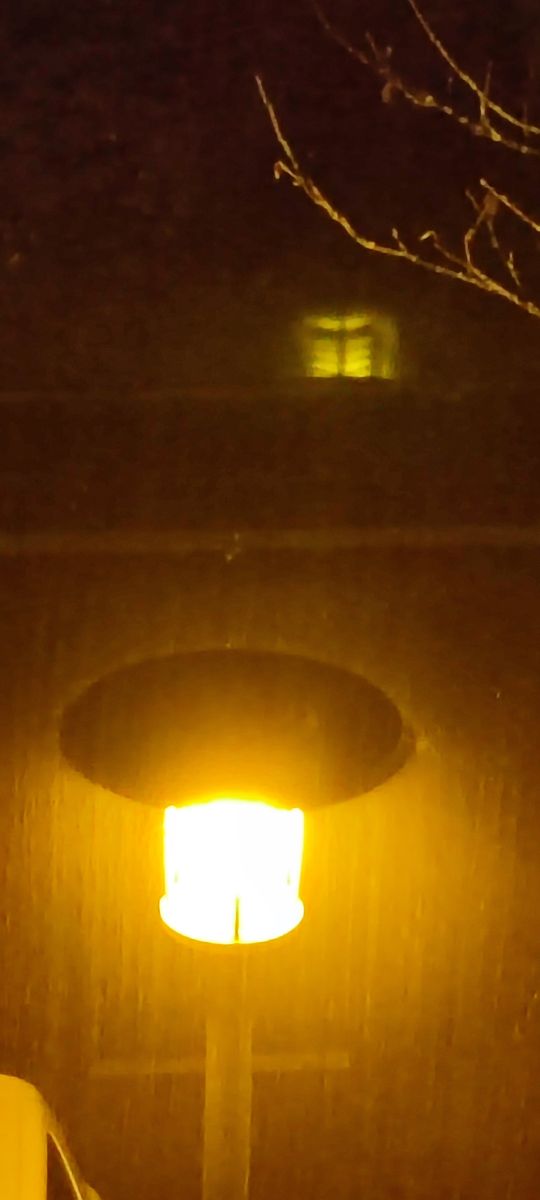 Photographer Tercis, Weather Photos in Ettlingen - Weawow