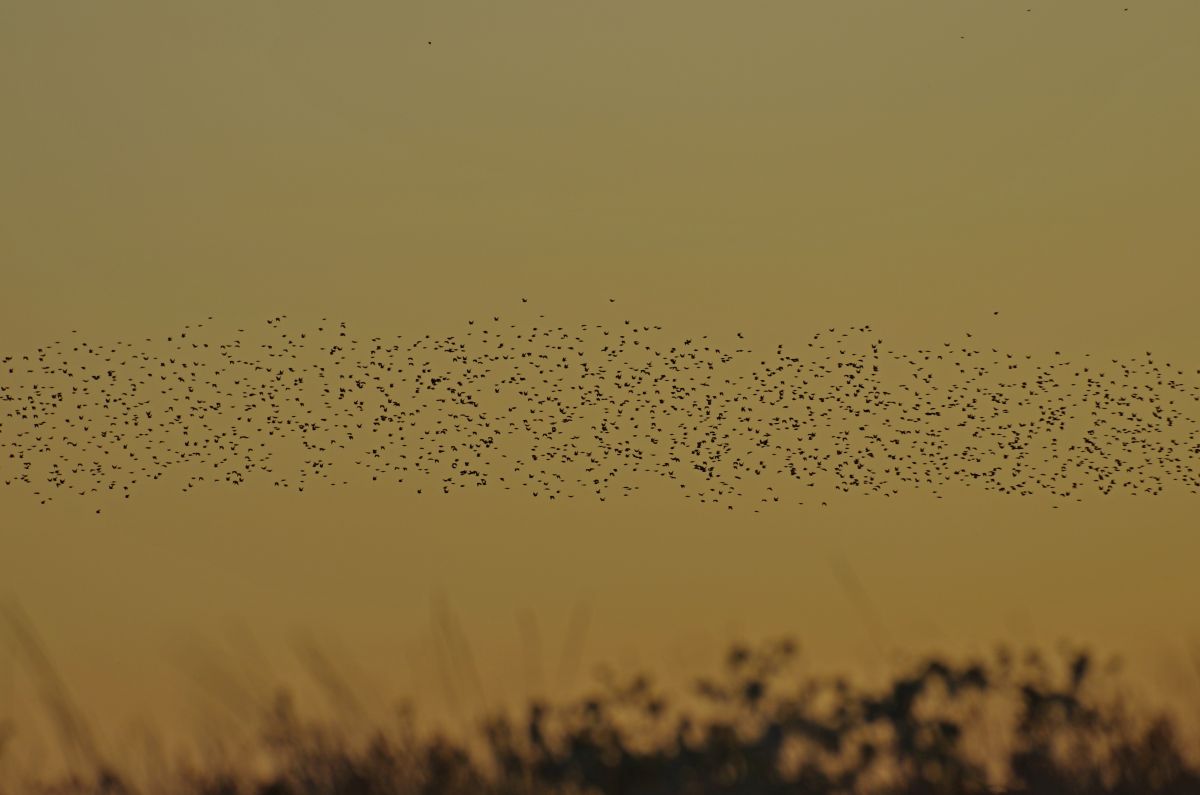 Фотографии Погоды в Dobrich. Прогнозы погоды с чудесными фотографиями, сделанными Даниел Литов