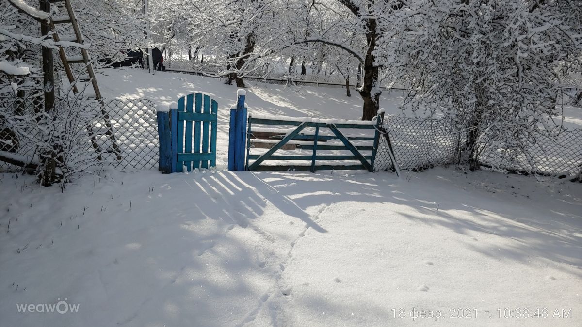 Chechnya的天气照片. 天气预报，带magaregita精美的照片