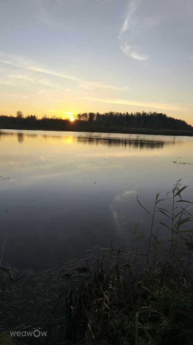 Фотограф Valiukas, Фотографии Погоды в Pievėnai - Weawow