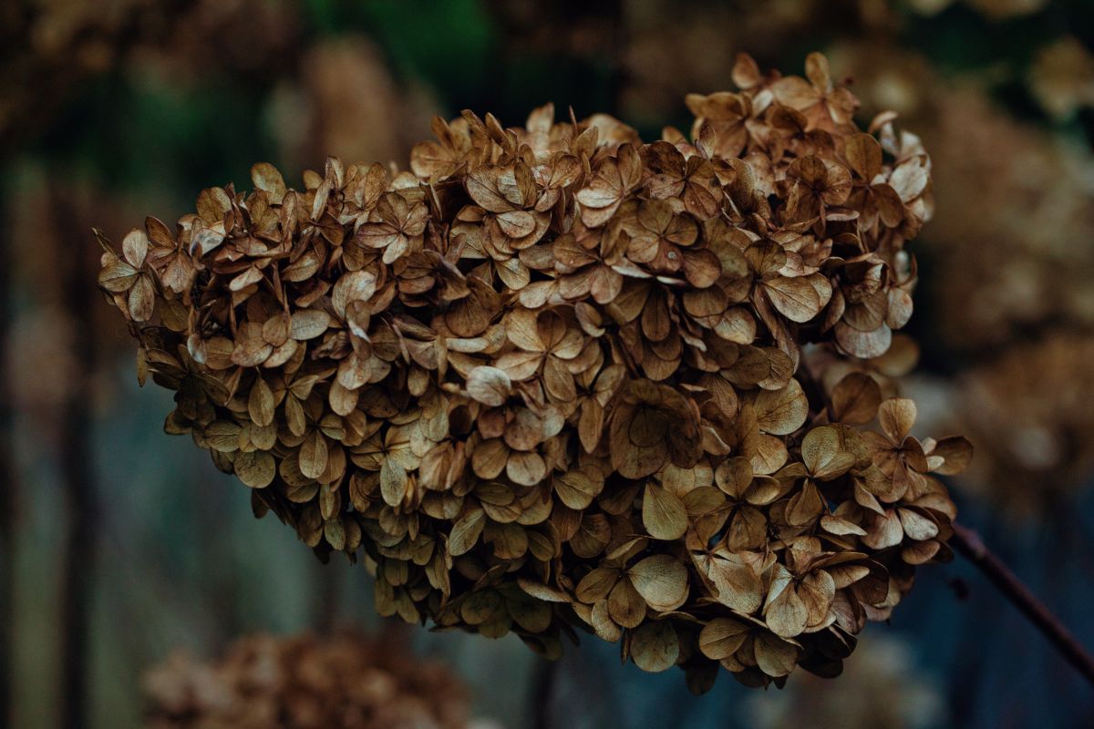 グダニスクの天気写真. martinm611の美しい写真による天気予報