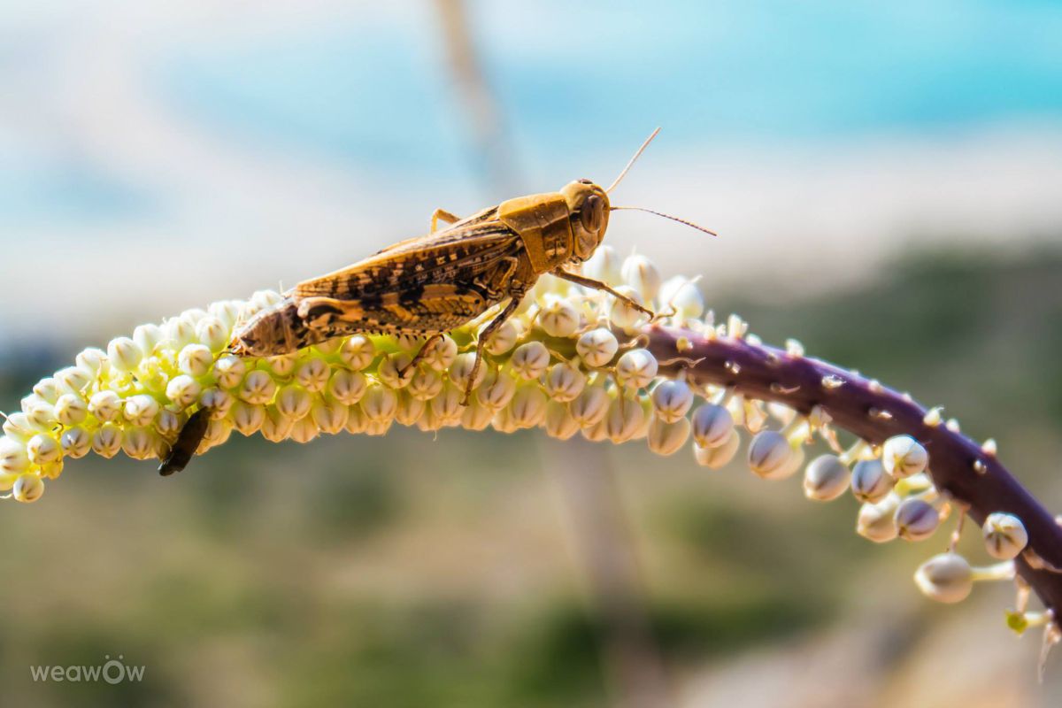 Photographer leschless, Weather Photos in Crete - Weawow