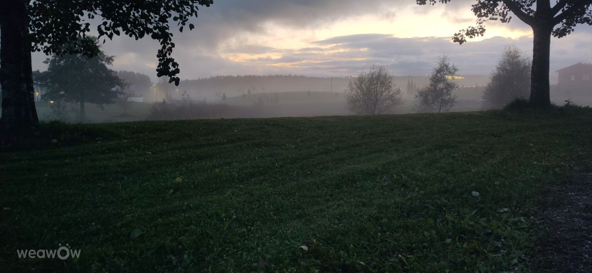 Fotos sobre el clima en Uusimaa. Pronósticos del tiempo con hermosas fotos de Gobliina