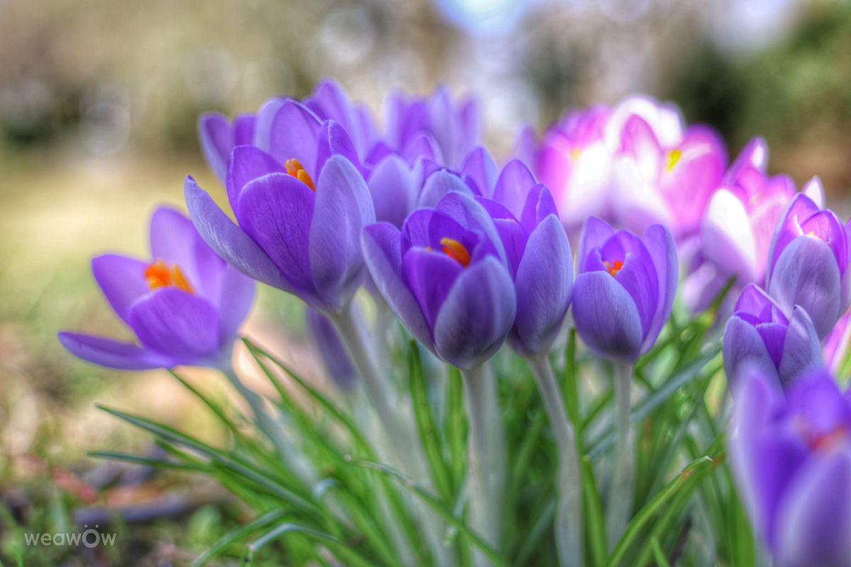 Weather Photos in Wellinghofen. Weather forecasts with beautiful photos by Lotti5507