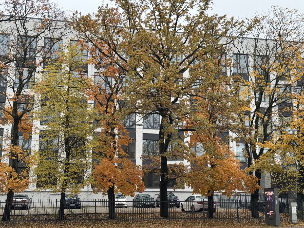 Weather Photos in Rīga. Weather forecasts with beautiful photos by Svet-Lana