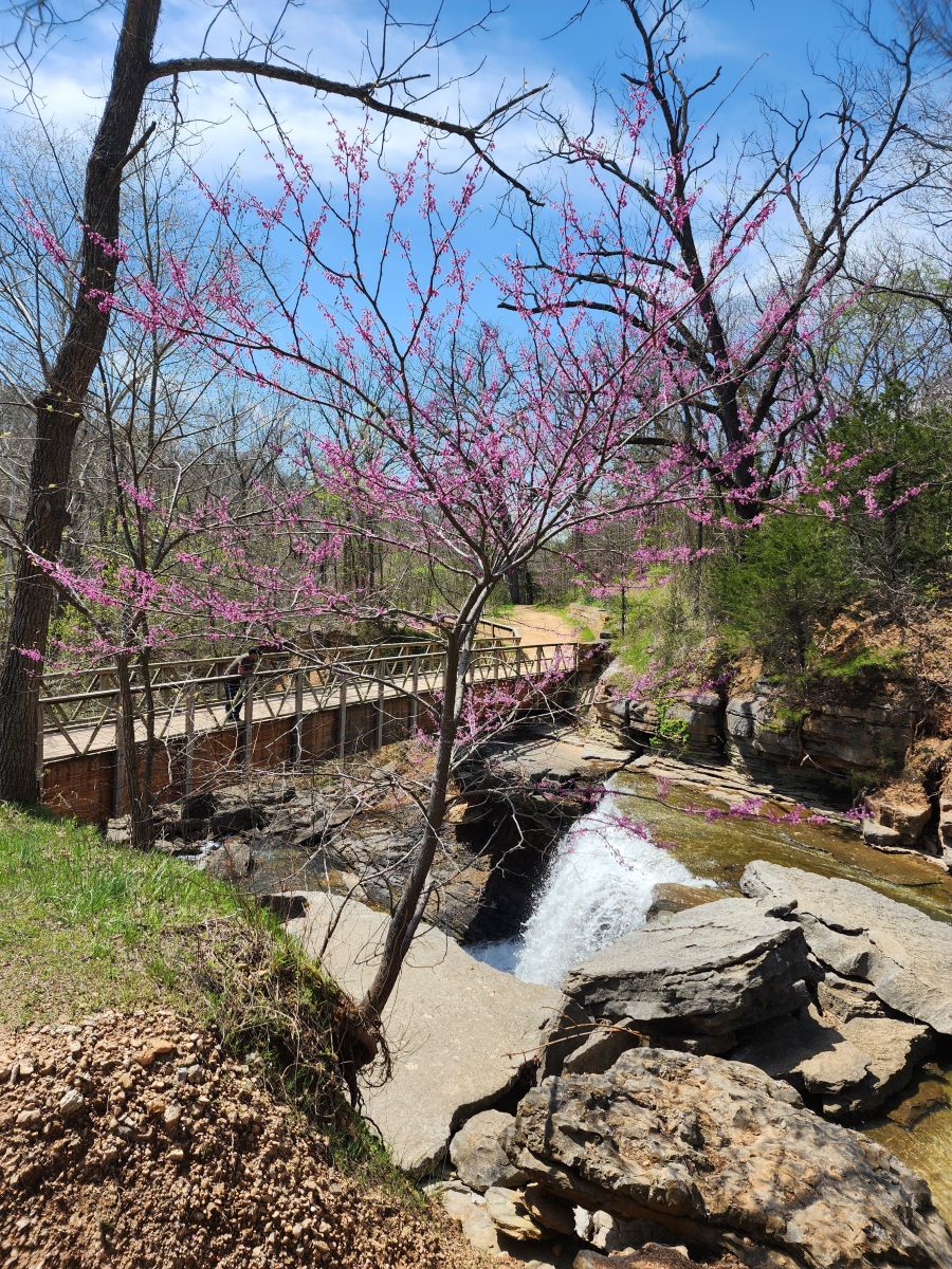 阿肯色州的天气照片. 天气预报，带Luckever精美的照片