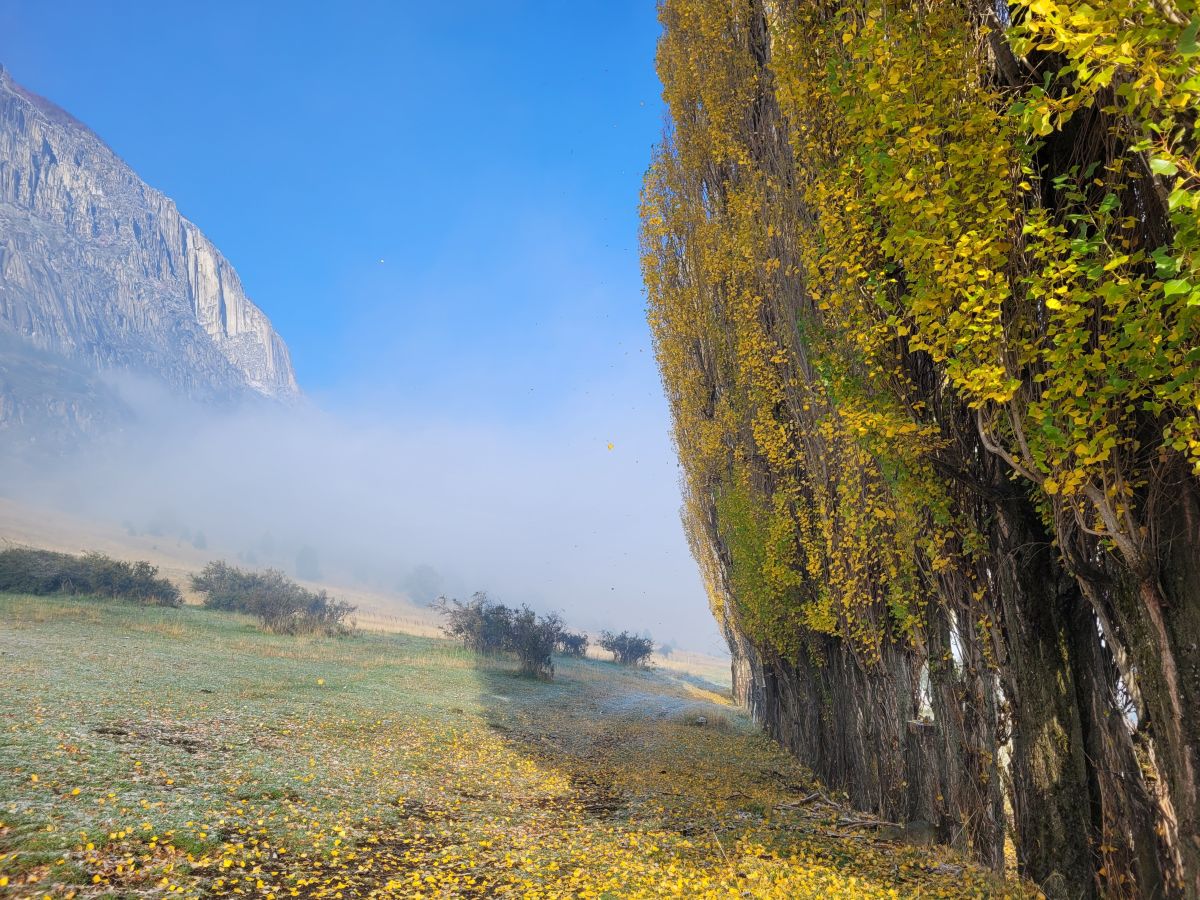 Weather forecasts with beautiful photos by javiercepeda