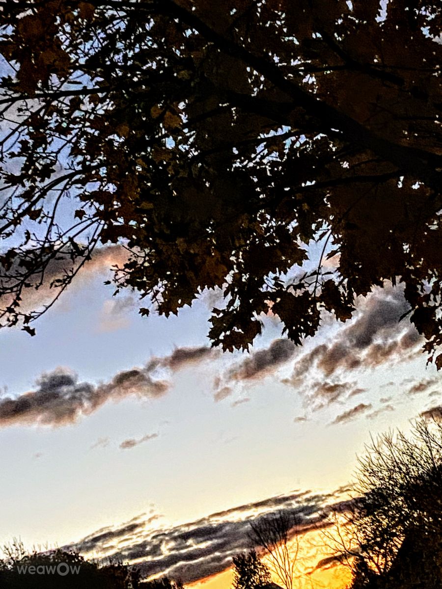 Фотограф Lulu5523, Фотографии Погоды в le Plateau - Weawow