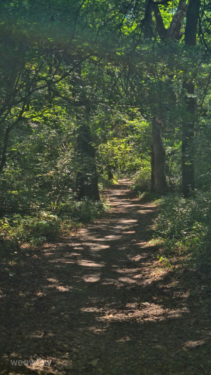 Weather forecasts with beautiful photos by Джамиль