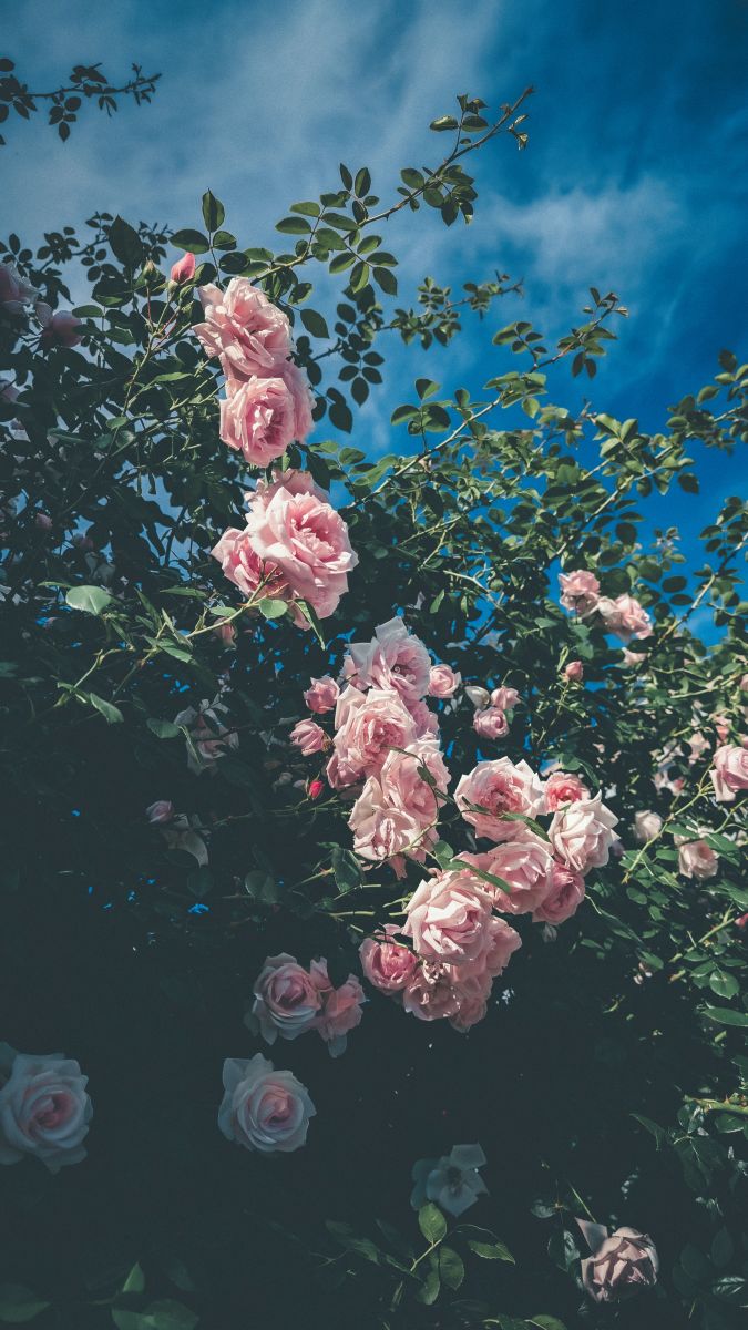 Fotos do tempo em Khmelnytskyi. Previsões do tempo com lindas fotos de evigalar