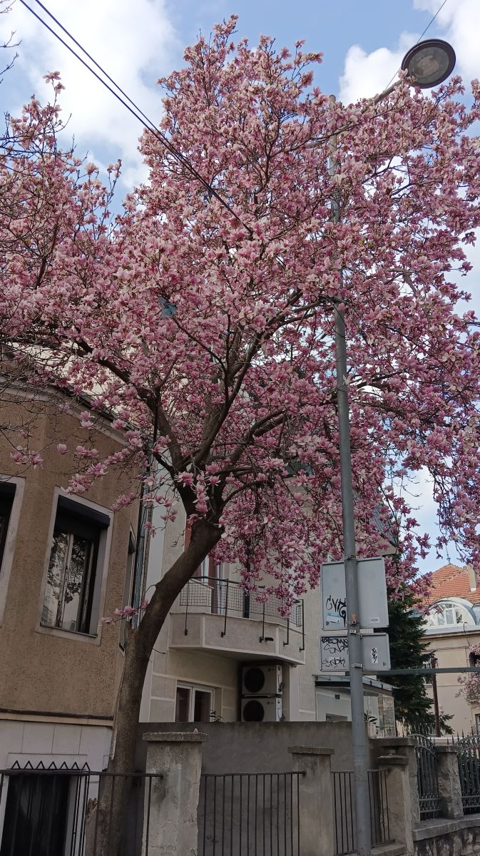 Fotos sobre el clima en Belgrado. Pronósticos del tiempo con hermosas fotos de Neblak