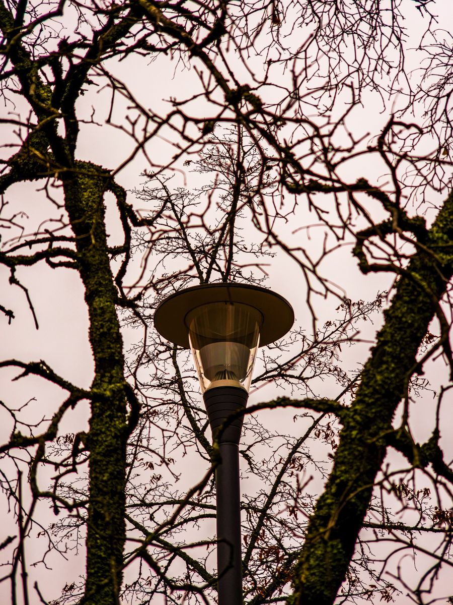 Photos météo à Finlande. Prévisions météo avec de superbes photos de Александр Васильевич