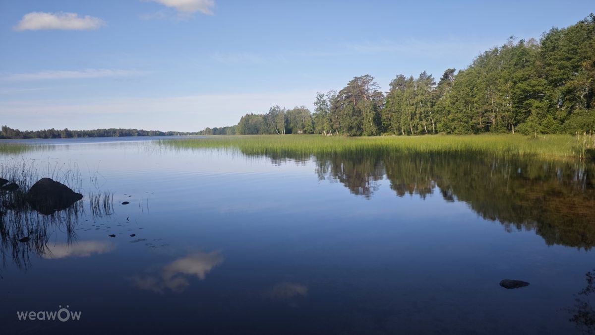 Photographer uppsalaunge, Weather Photos in Österbybruk - Weawow