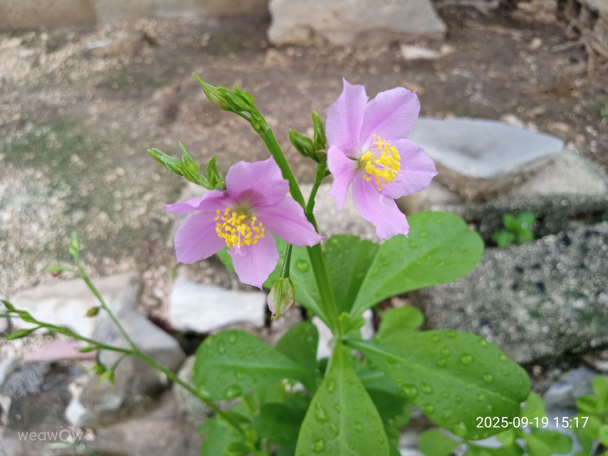 Weather Photos in Cuba. Weather forecasts with beautiful photos by Pablo_Yannier
