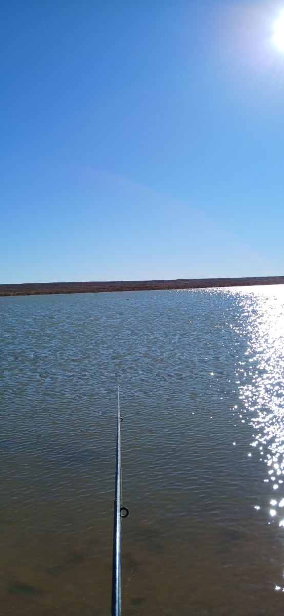 Weather Photos in Algeria. Weather forecasts with beautiful photos by BELGHOUL-KADDA