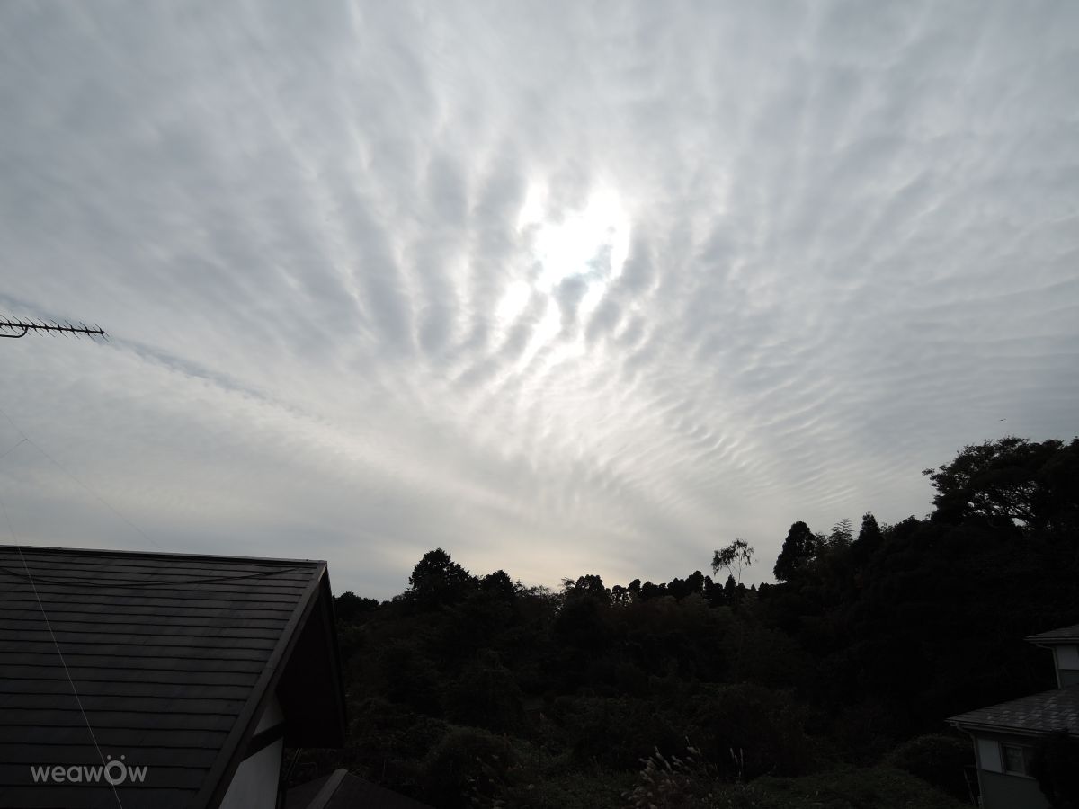 Weather Photos in Chiba. Weather forecasts with beautiful photos by yurumazi