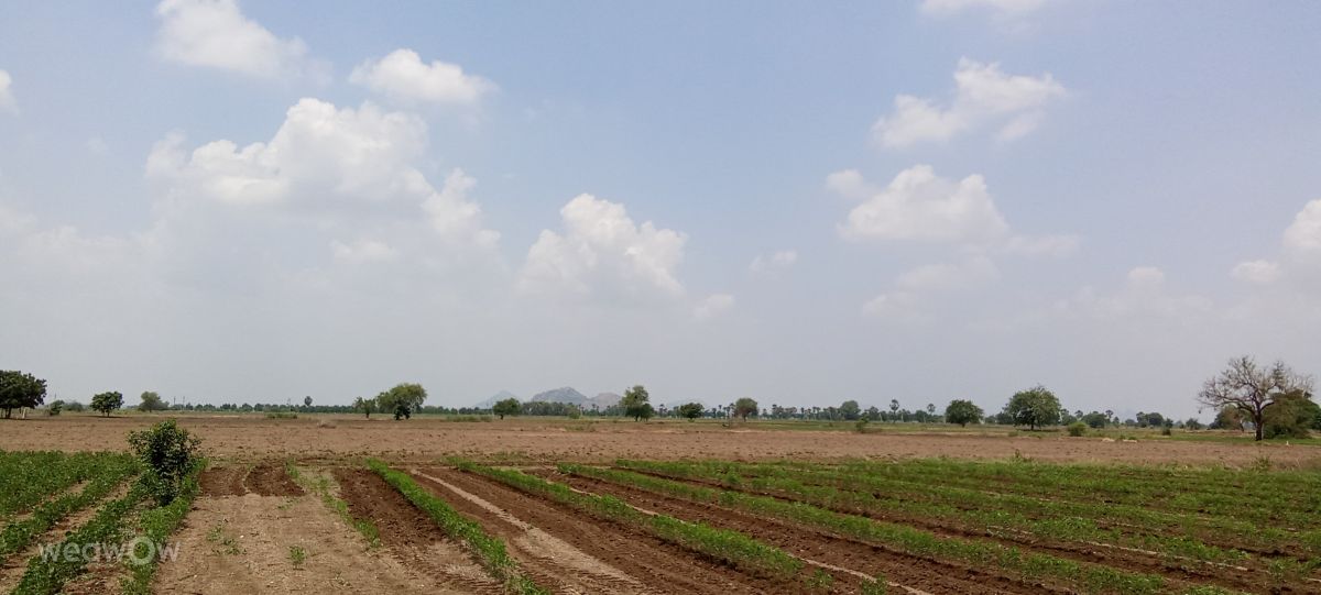 Weather Photos in India. Weather forecasts with beautiful photos by Imadabattini Bosu Babu