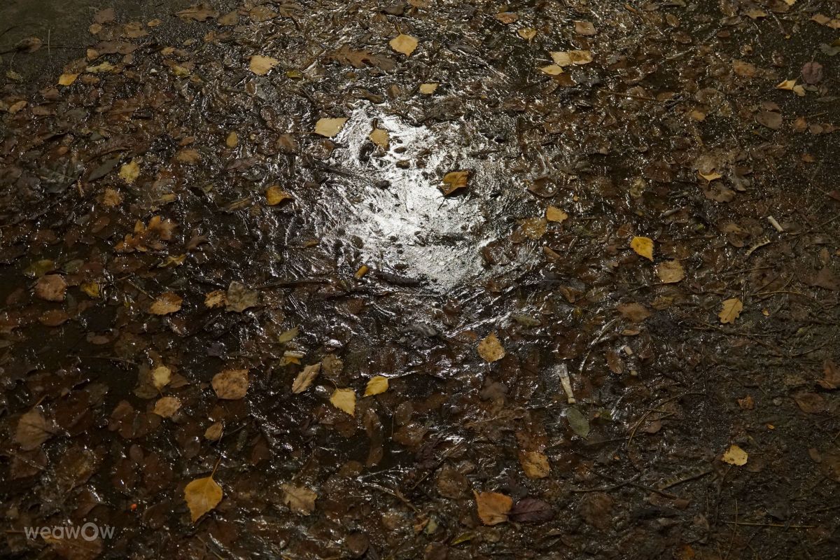 Fotografos Vasek325, Fotos do tempo em Praha 12 - Weawow