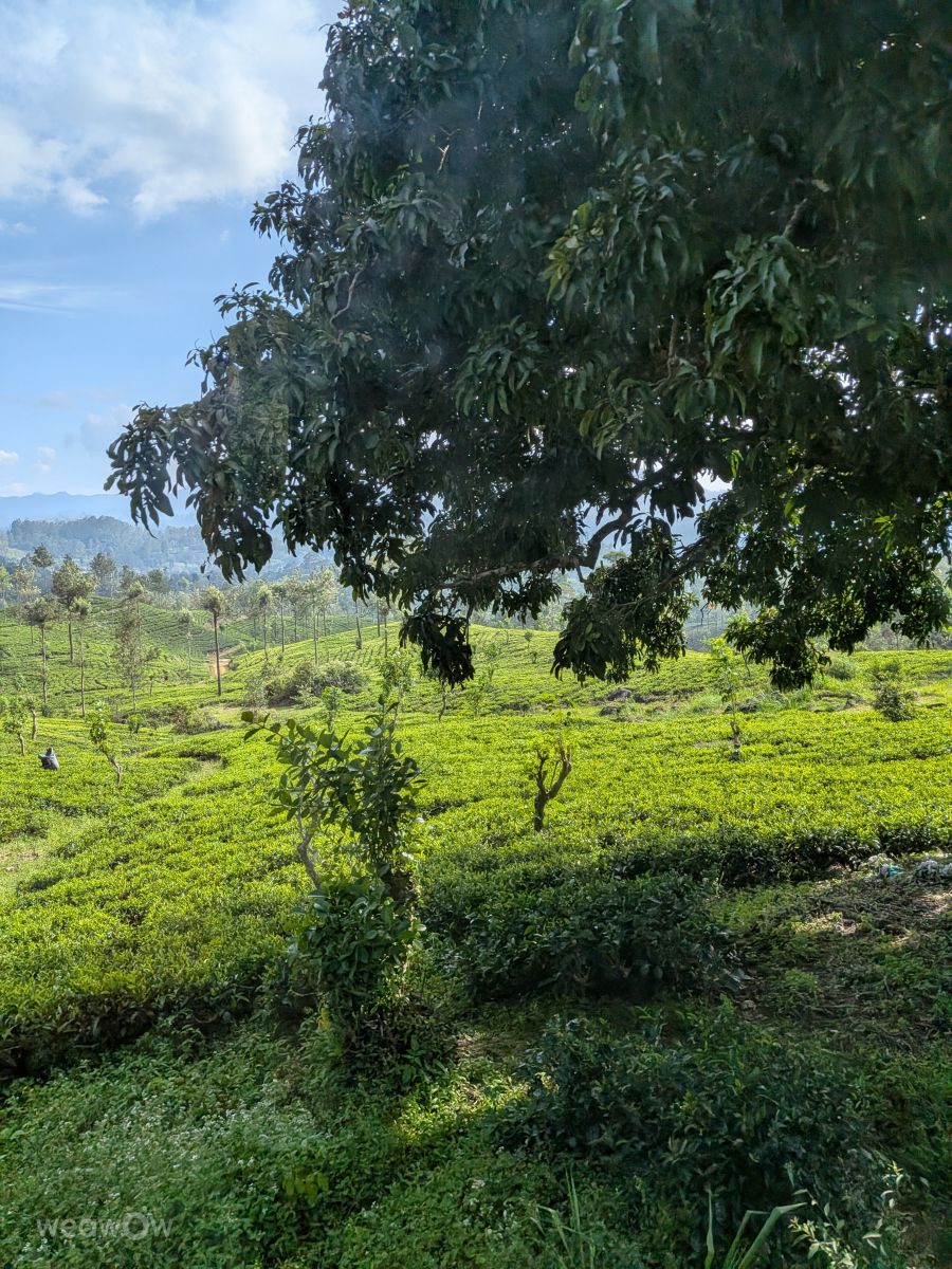 Weather Photos in Sri Lanka. Weather forecasts with beautiful photos by lunatibi