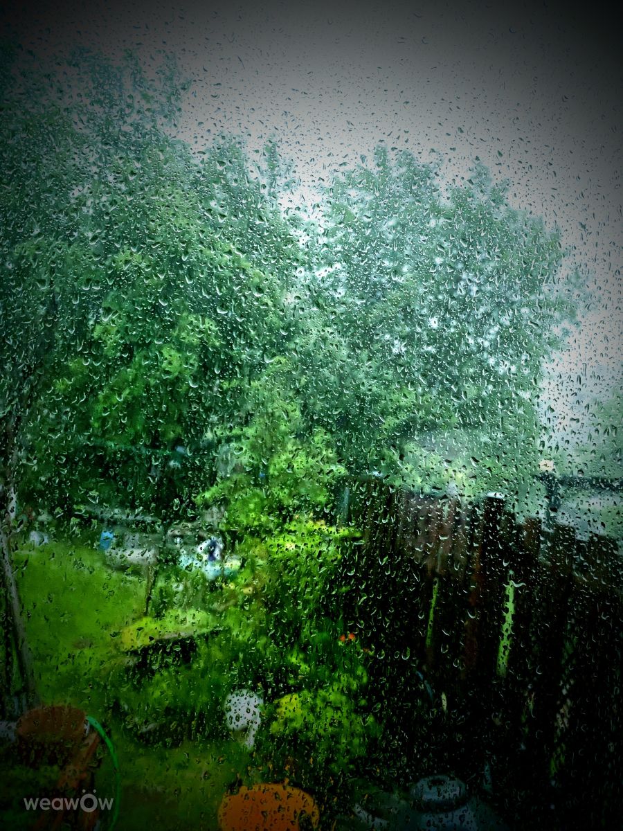 Photograph Lulu5523, Wetter Photos le Plateau - Weawow